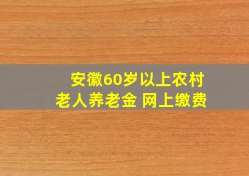 安徽60岁以上农村老人养老金 网上缴费